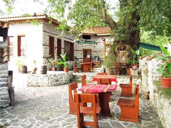 Комплекс Стария Чинар Melnik (Blagoevgrad) Dış mekan fotoğraf