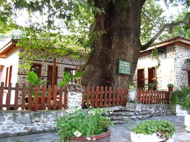 Комплекс Стария Чинар Melnik (Blagoevgrad) Dış mekan fotoğraf