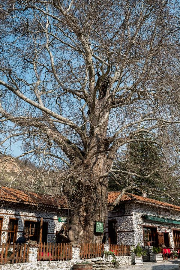 Комплекс Стария Чинар Melnik (Blagoevgrad) Dış mekan fotoğraf
