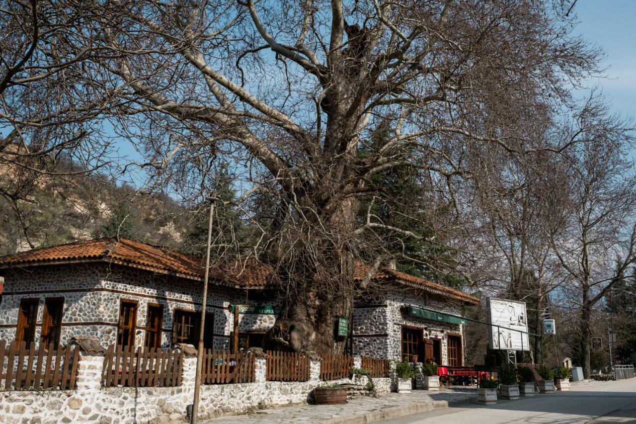 Комплекс Стария Чинар Melnik (Blagoevgrad) Dış mekan fotoğraf